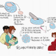 A rough sketch of how mitochondrial donation works. (US and UK methods differ slightly.)